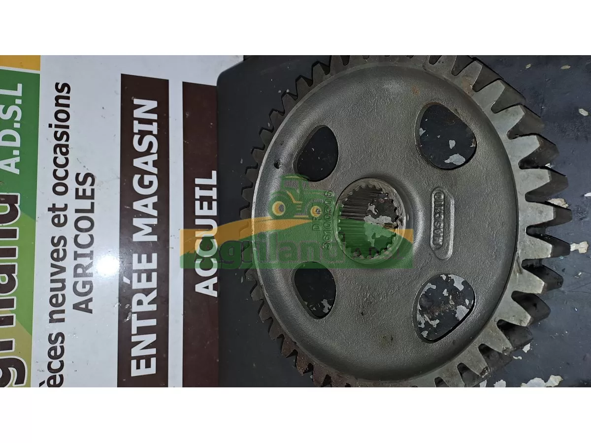 PIGNON LATERAL MASCHIO DMR Z 41 LP : 145