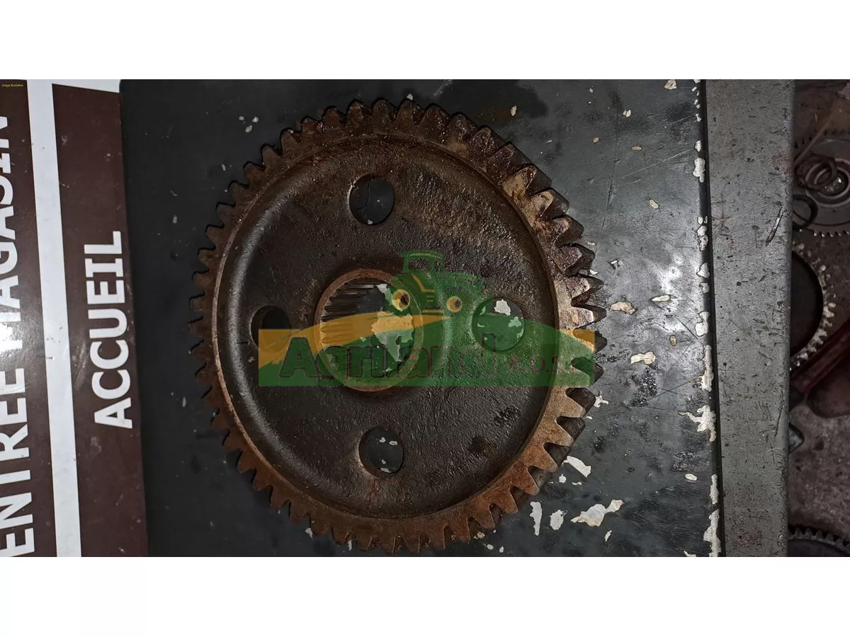 PIGNON CENTRAL PKE  LP : 523