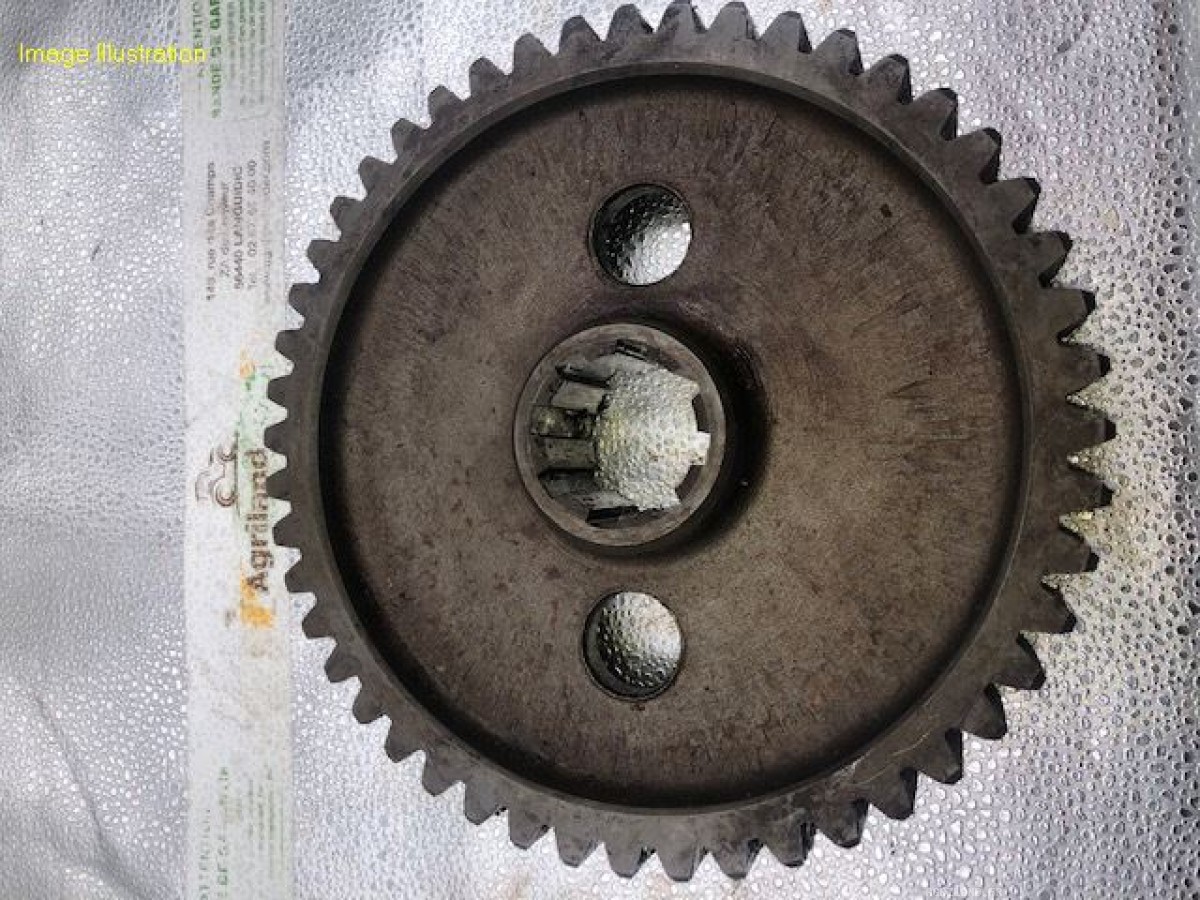 PIGNON CENTRAL Z48 CANNELURE 8 LP : 364