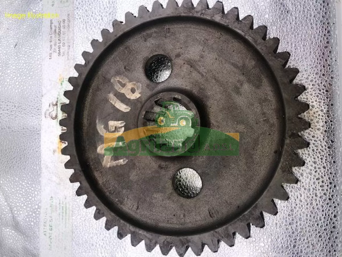 PIGNON CENTRAL Z48 CANNELURE 8 LP : 364