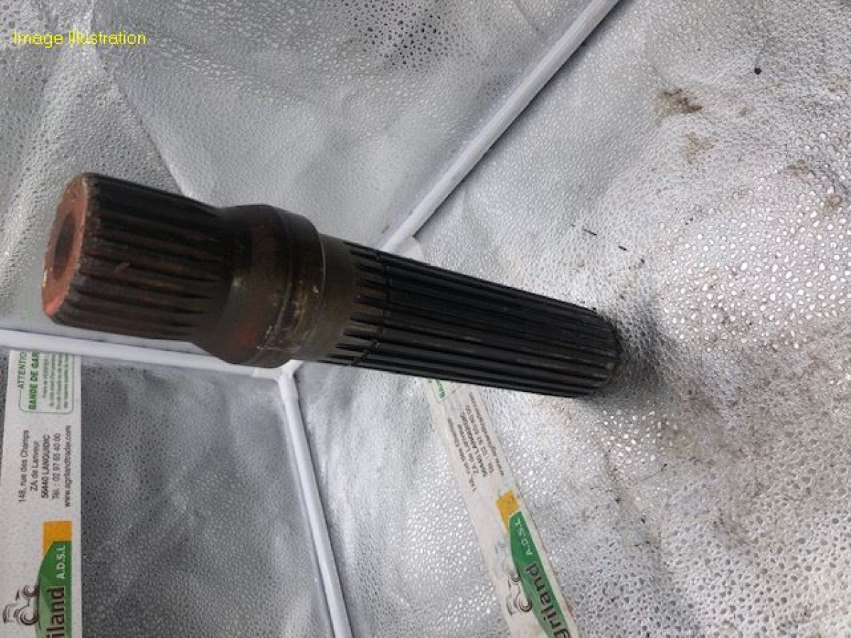 ARBRE CENTRAL  LP : 284