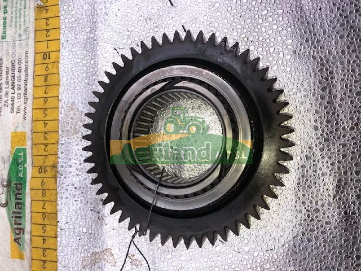 PIGNON DE BOITE Z 53