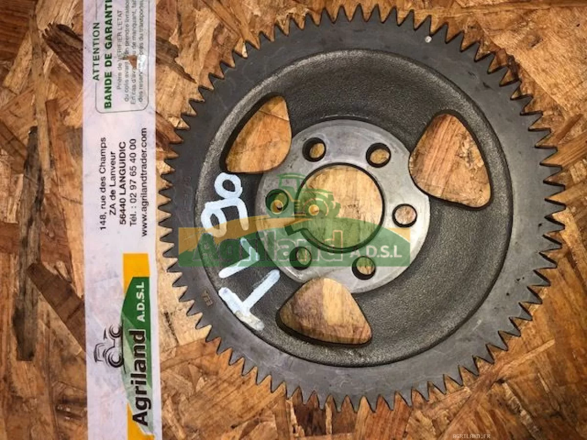 PIGNON Z72 DE L'ABRE À CAMES 