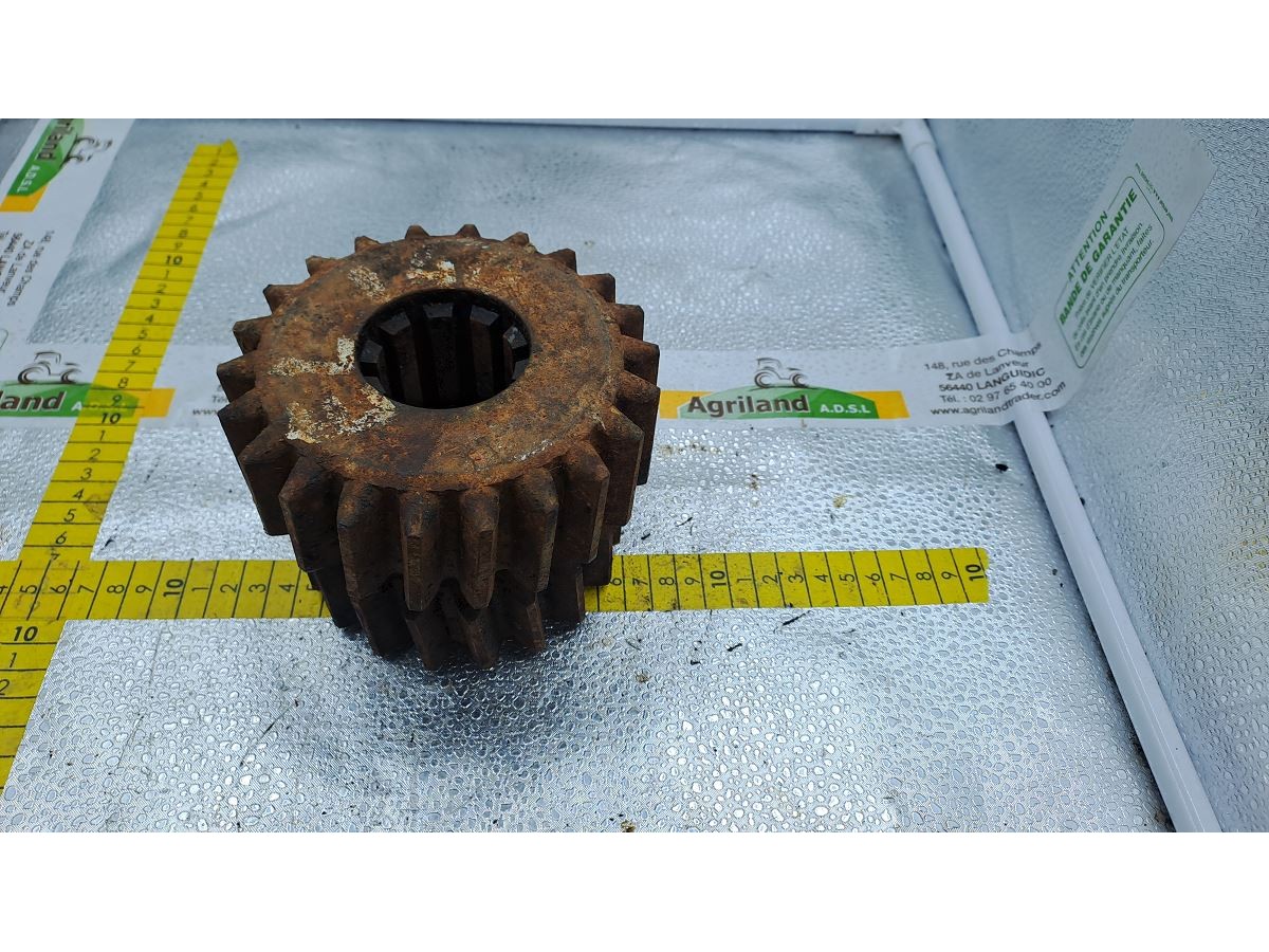 PIGNON A DENTURE OBLIQUE Z19/22