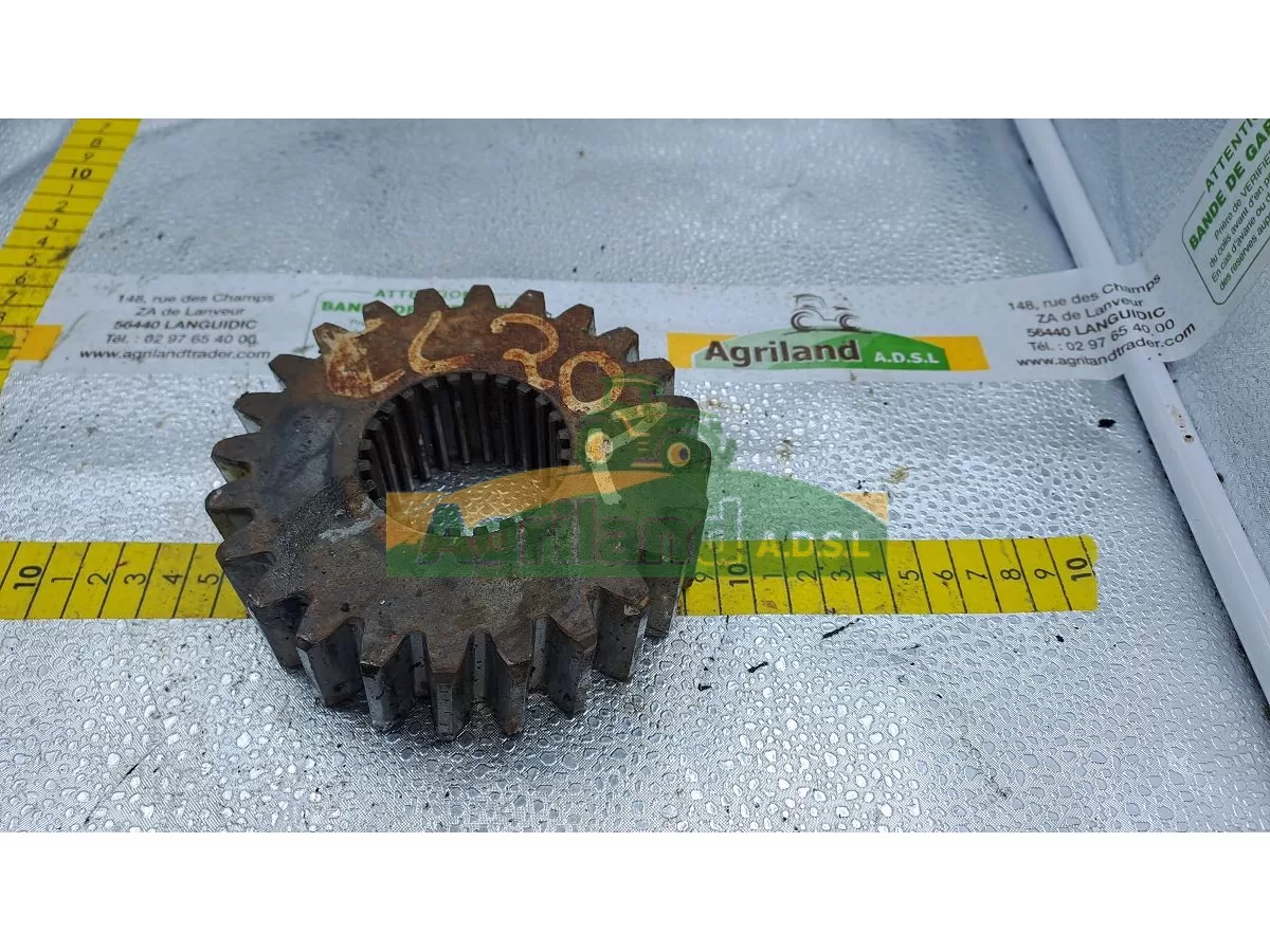 PIGNON Z24 DENTURE OBLIQUE