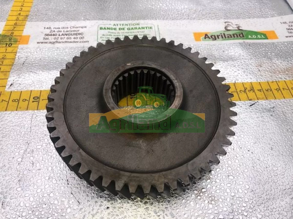 PIGNON D'ENTRAINEMENT  Z51