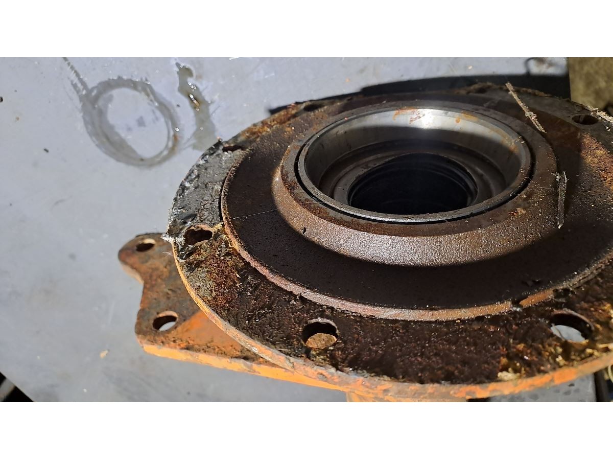 TROMPETTE GAUCHE L = 49CM