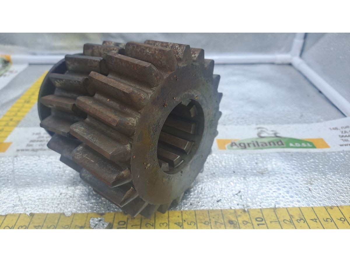 PIGNON DOUBLE Z19/Z21