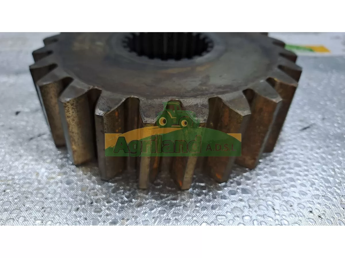 PIGNON Z24 DENTURE HELICOIDALE