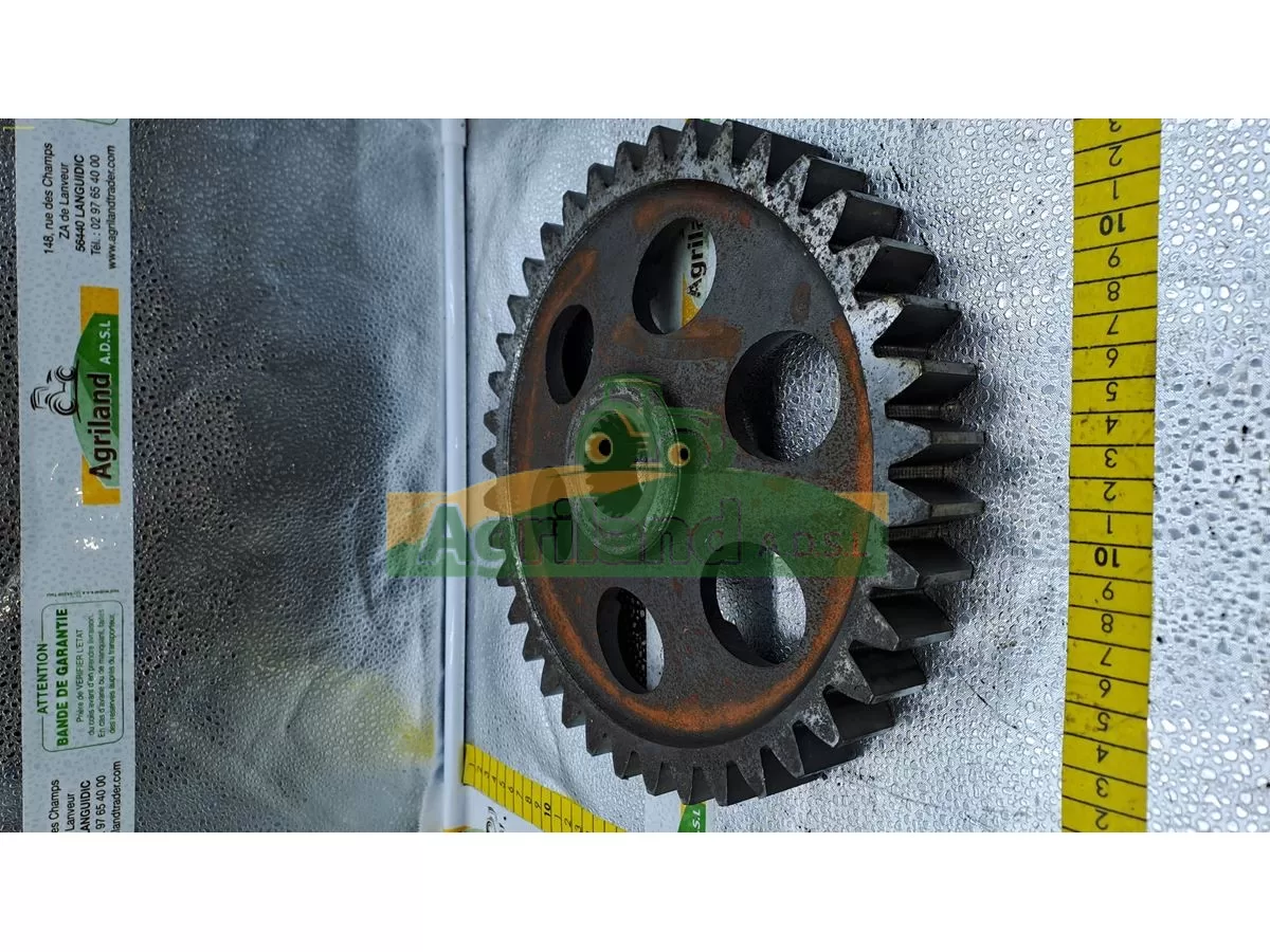 PIGNON Z 39 AVEC DES MARQUES