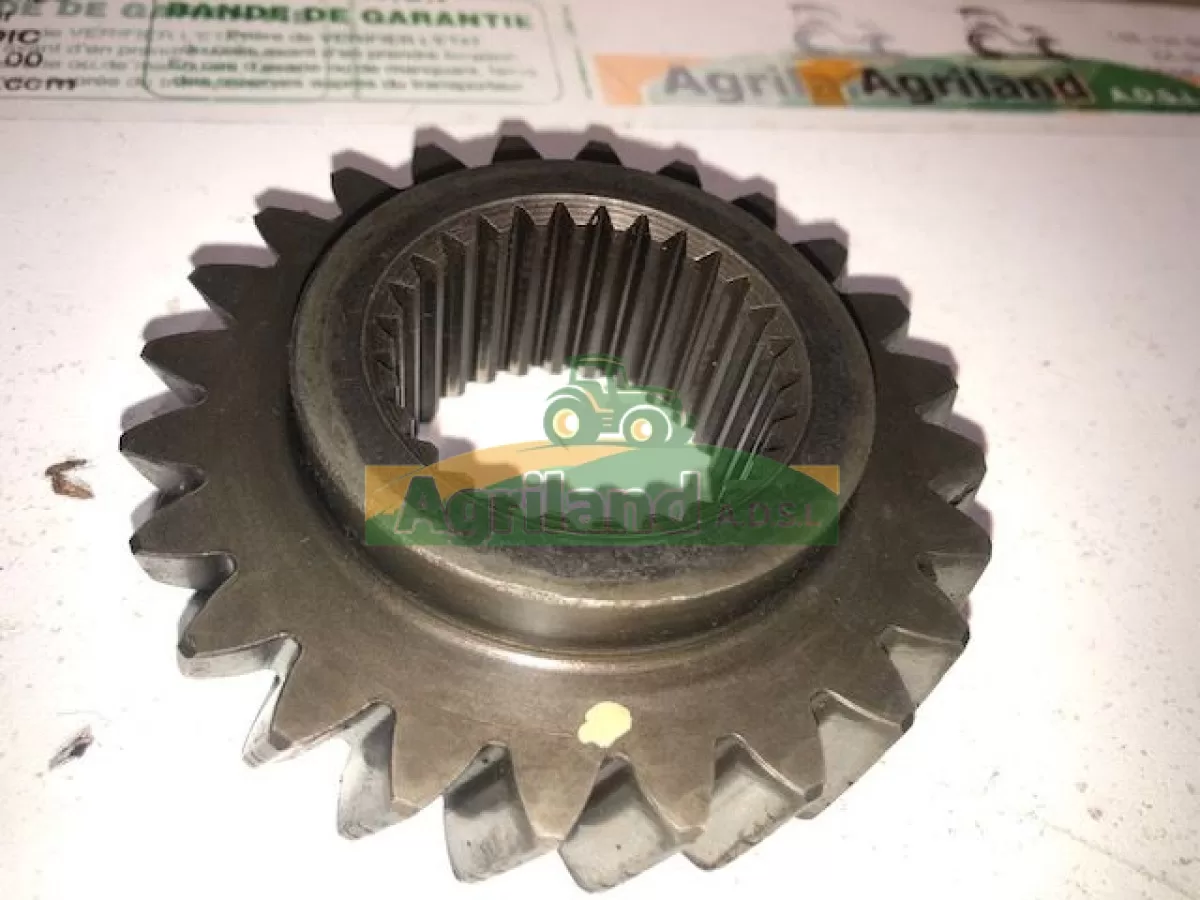 PIGNON D'ENTRAINEMENT Z24