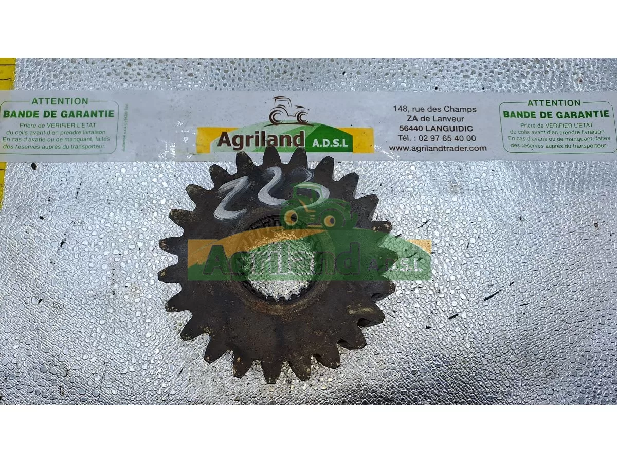 PIGNON DENTURE OBLIQUE Z23