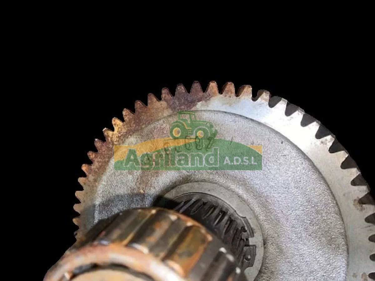 ARBRE D'ENTRAINEMENT DE BOITE 