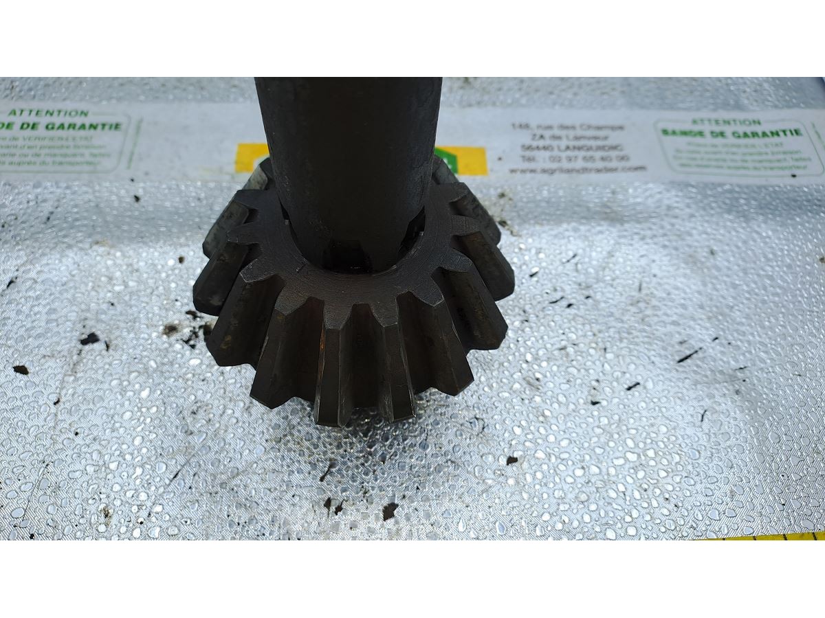 PIGNON CONIQUE Z15