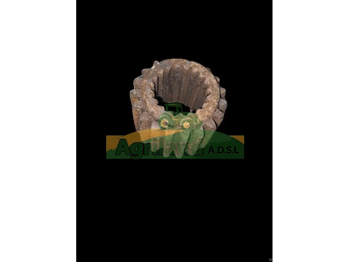 PIGNON DE REDUCTEUR Z19