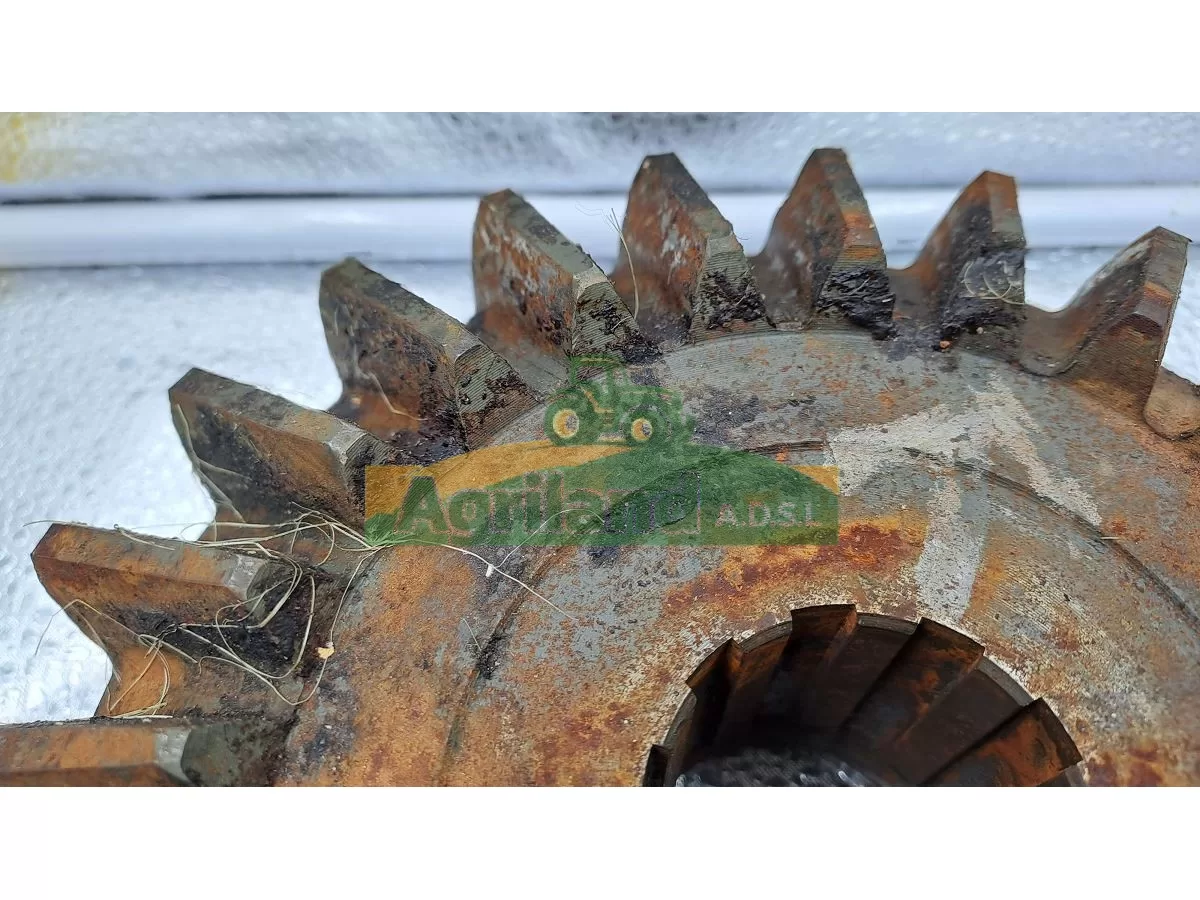 COURONNE Z24