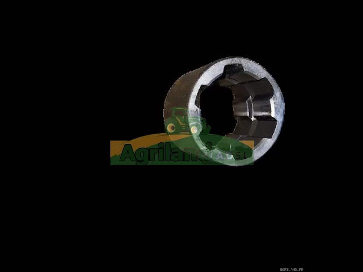 BAGUE DE L'ARBRE DE RENVOI