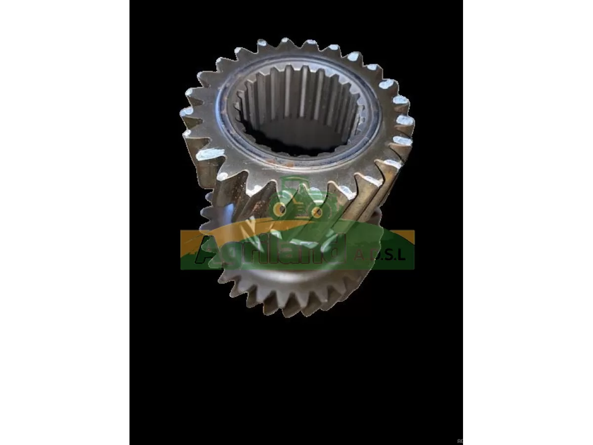 PIGNON DOUBLE Z24/29