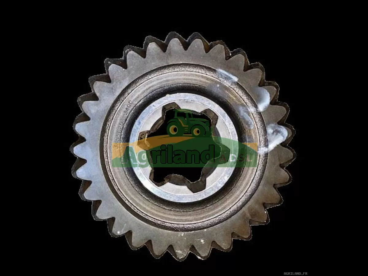 PIGNON Z29