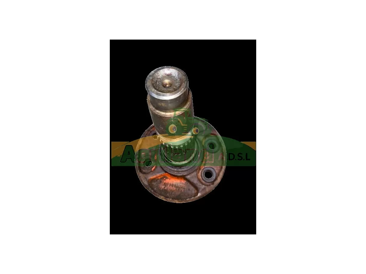 PORTE DENT LATERAL ROND