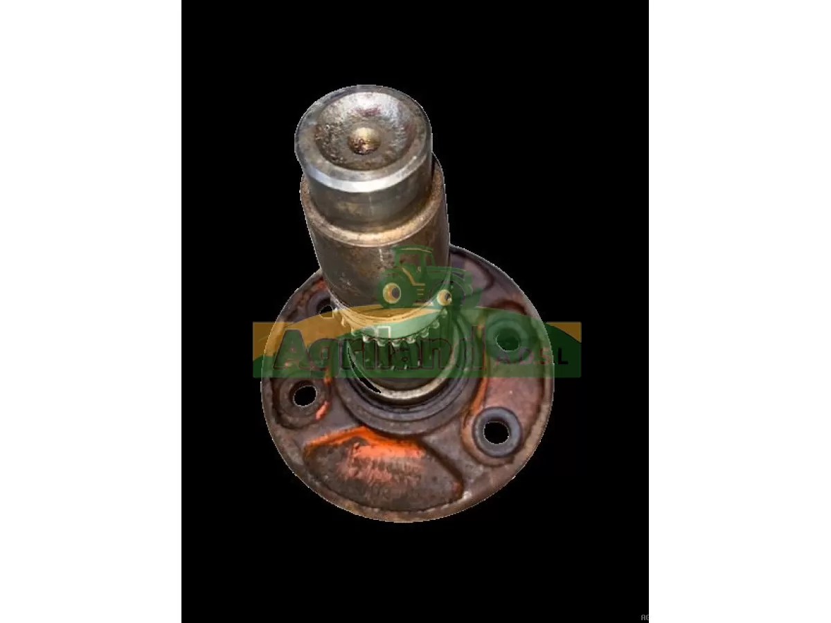 PORTE DENT LATERAL ROND