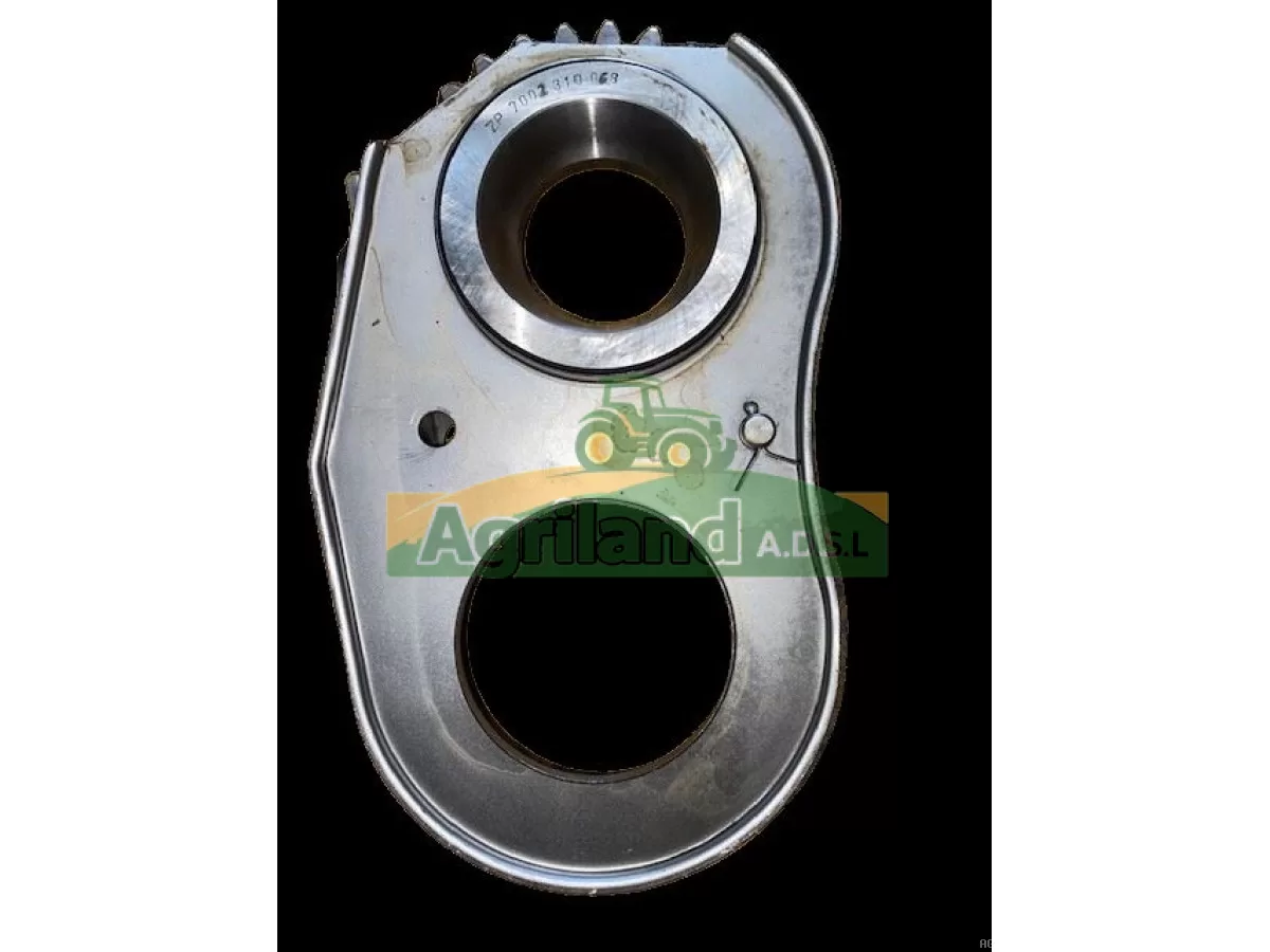 PIGNON Z29 AVEC TOLE 