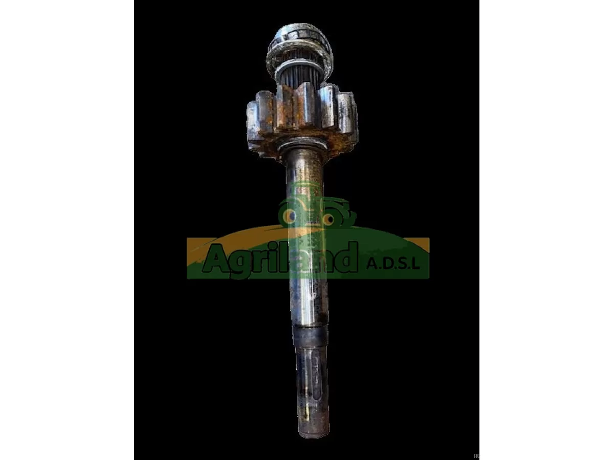 ARBRE D'ENTRAINEMENT 