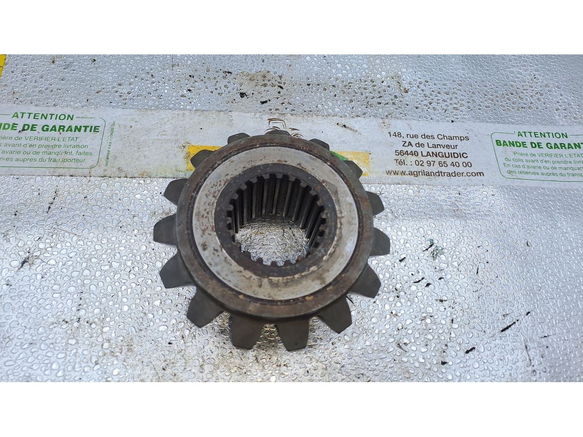 PIGNON CONIQUE Z15