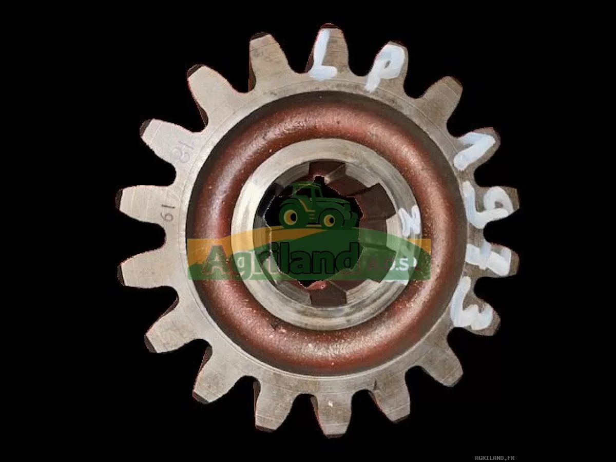 PIGNON Z18