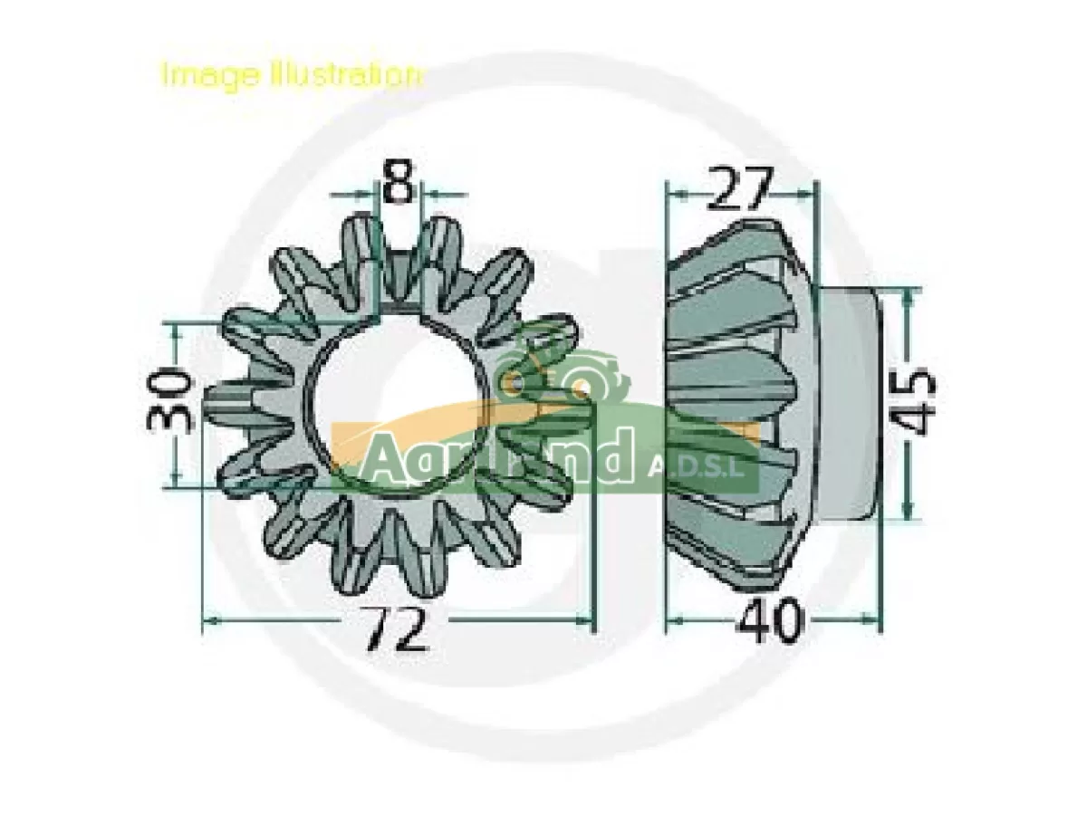 PIGNON COUPLE CONIQUE  Z14 