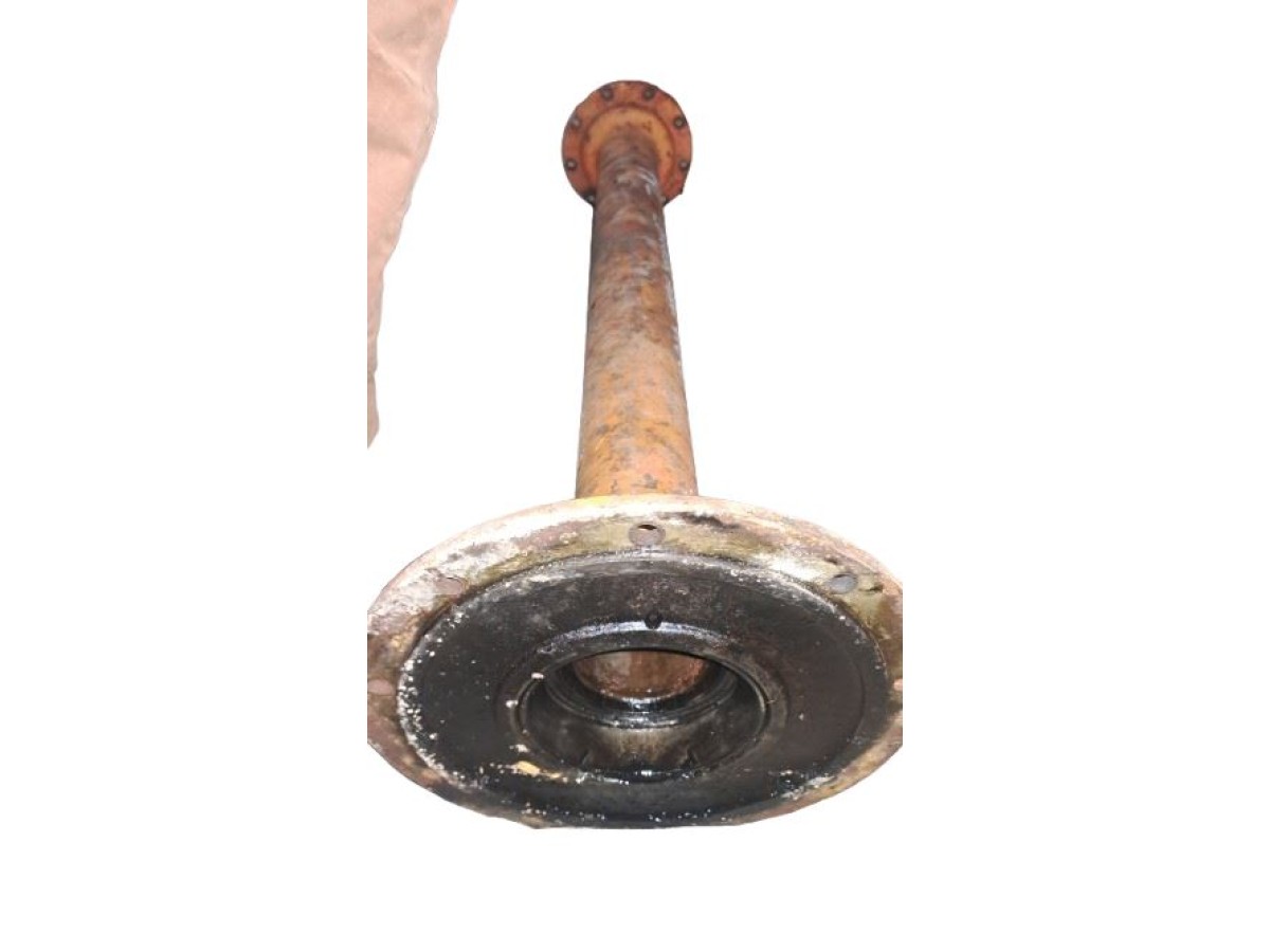 TROMPETTE (COTE ENTRAINEMENT)