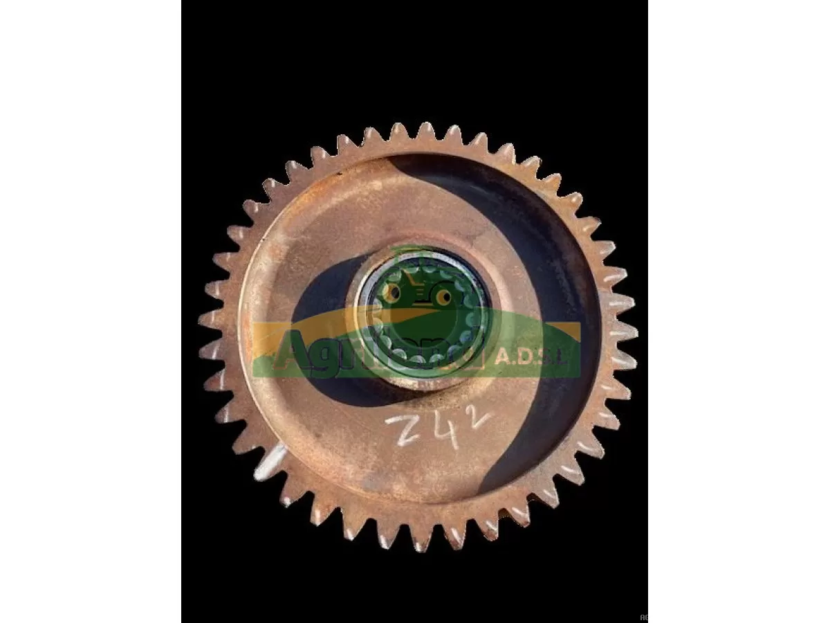 PIGNON Z42 