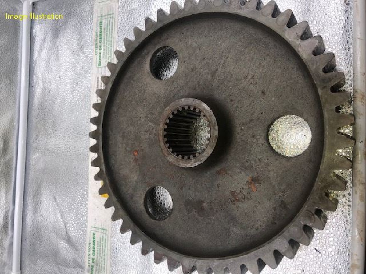 PIGNON CENTRAL Z 49 