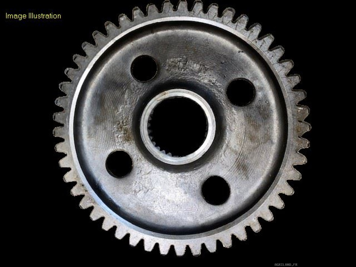 PIGNON CENTRAL Z49 
