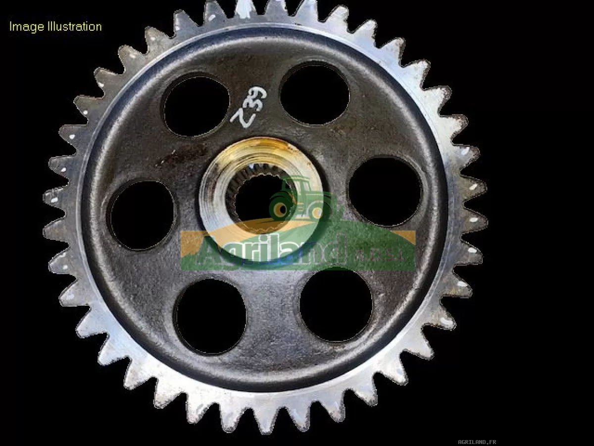 PIGNON LATERAL Z39
