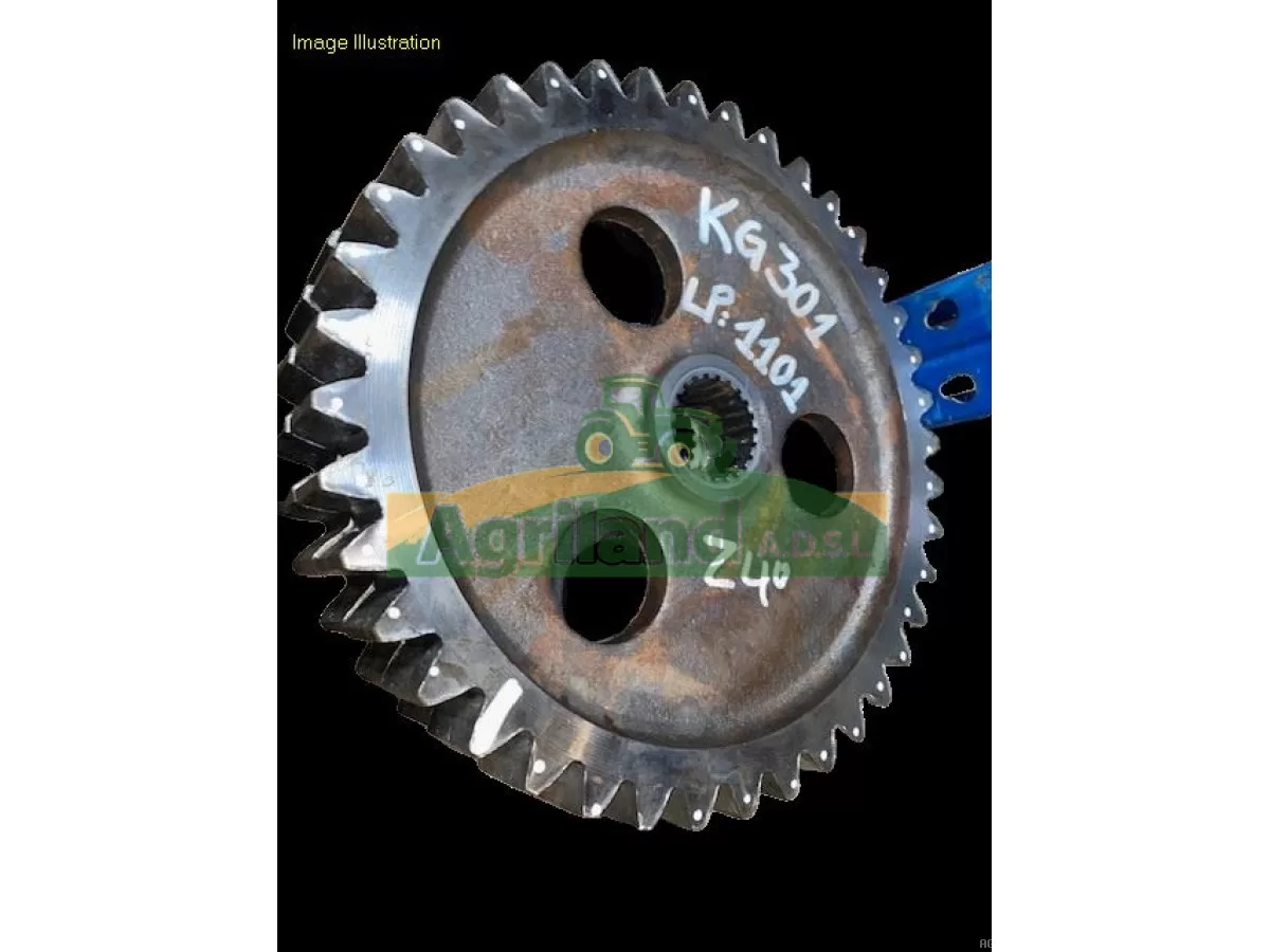 PIGNON LATERAL Z40