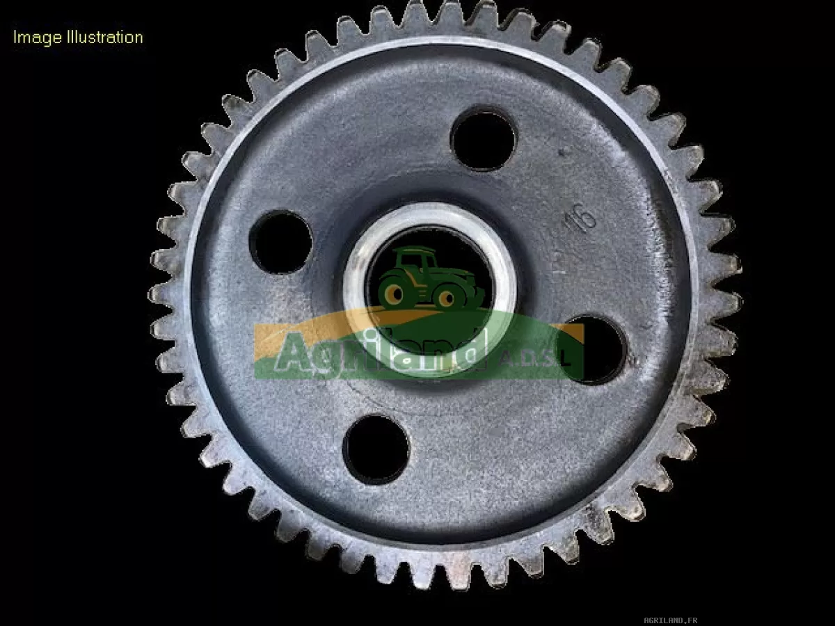 PIGNON LATERAL Z49 