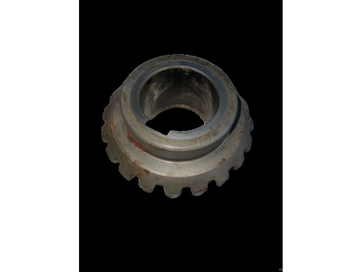 PIGNON CONIQUE Z20