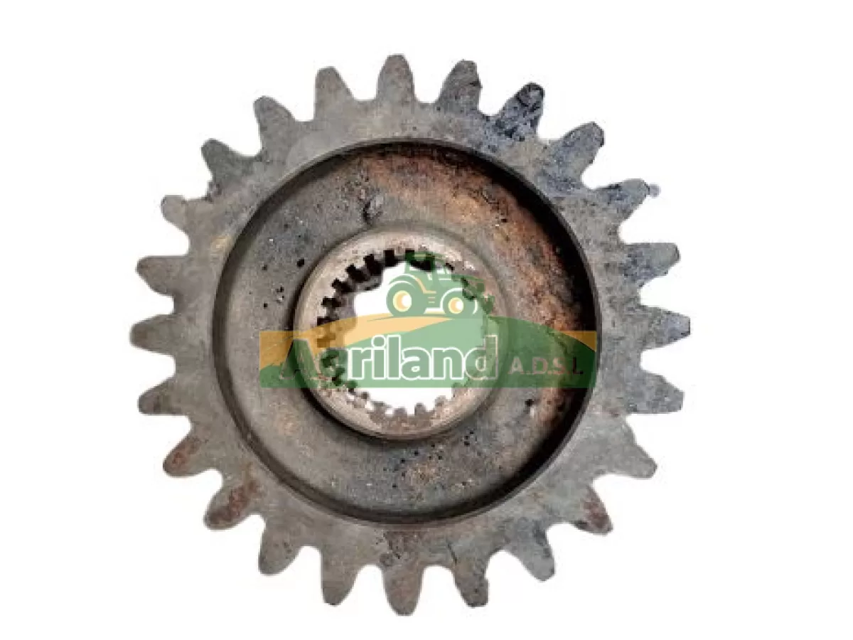 PIGNON INFERIEURE Z24