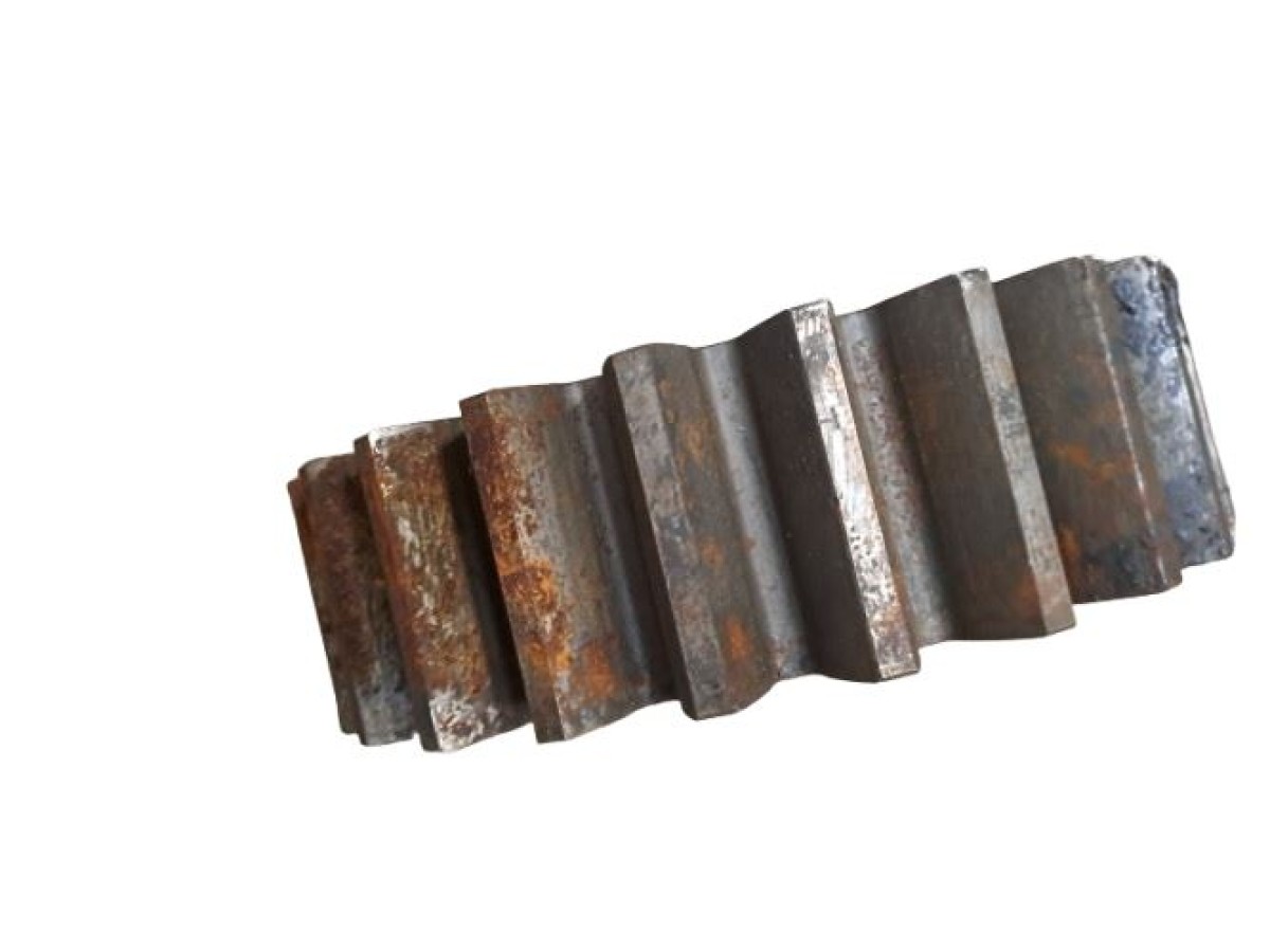 PIGNON INFERIEURE Z24