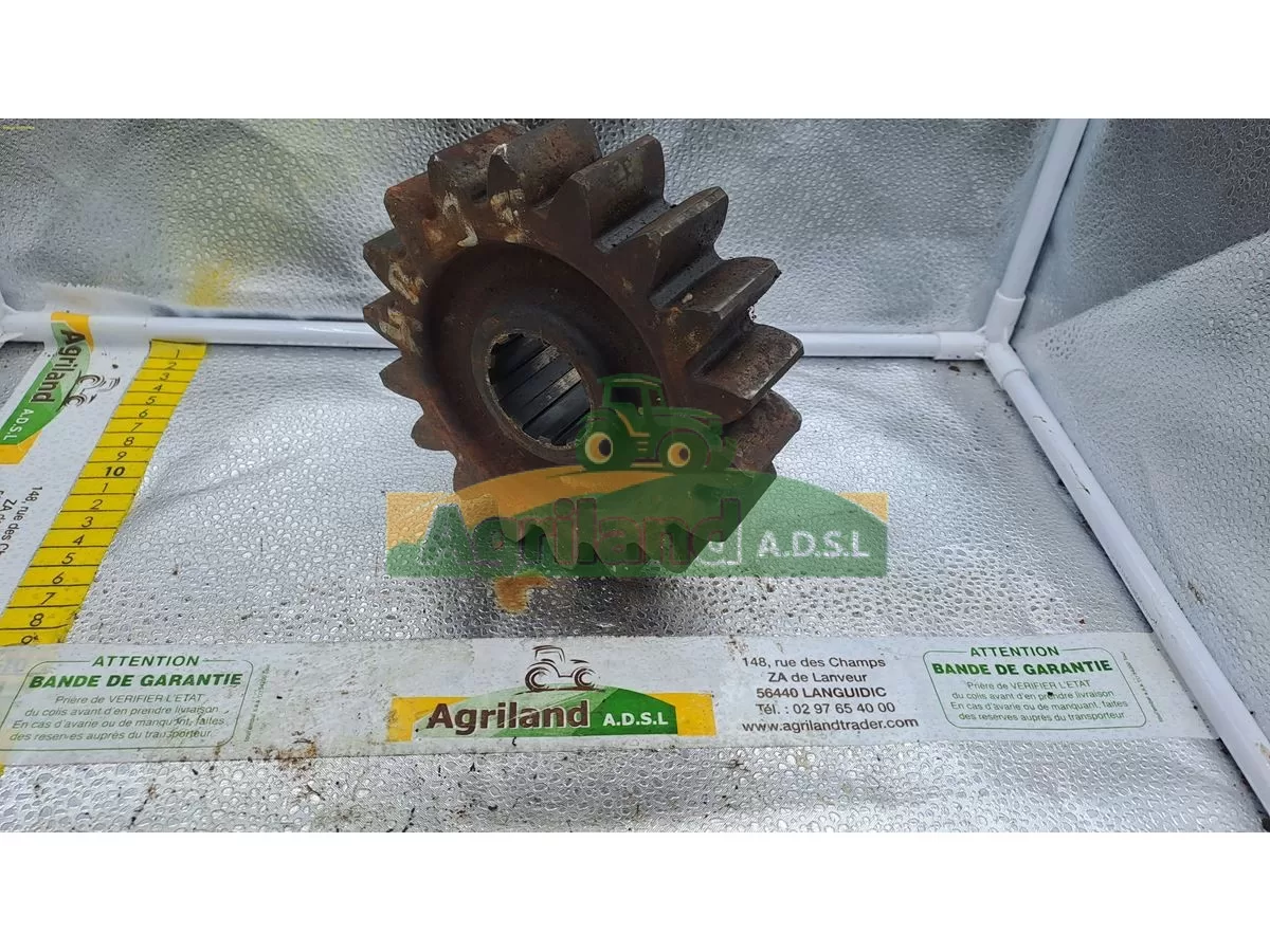 PIGNON Z18