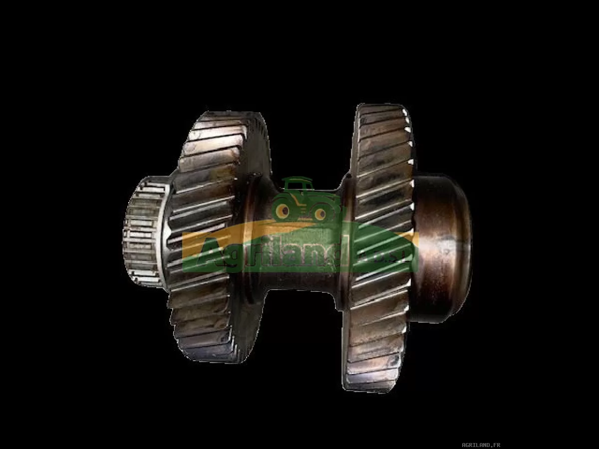 ARBRE D'ENTRAINEMENT 