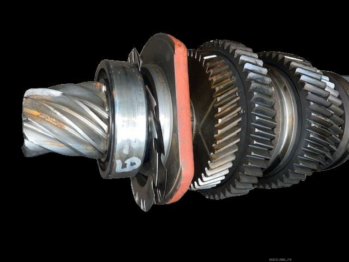 COUPLE CONIQUE ARR  Z9/53 ( AVEC PIG SUR L'ARBRE)