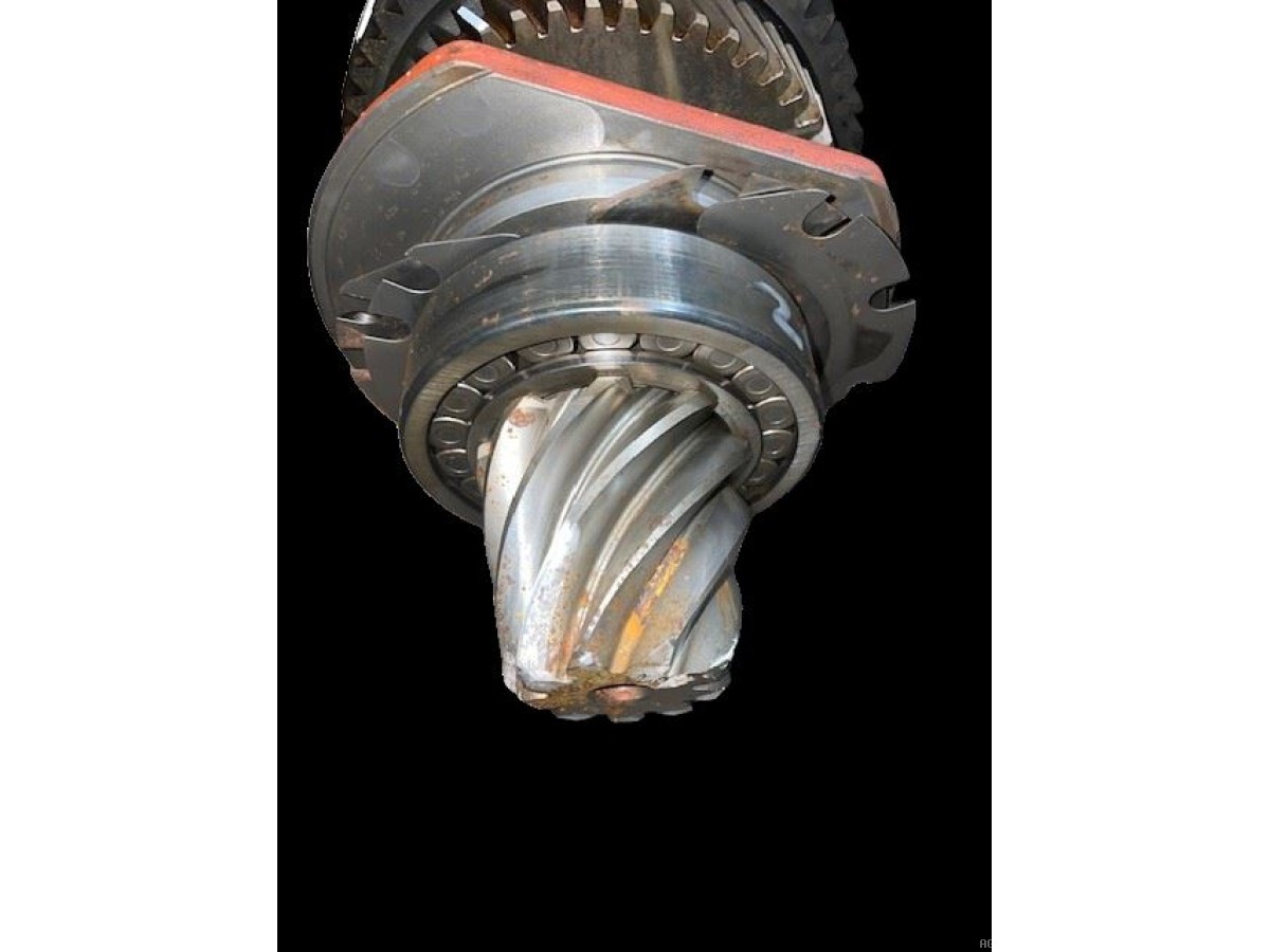 COUPLE CONIQUE ARR  Z9/53 ( AVEC PIG SUR L'ARBRE)