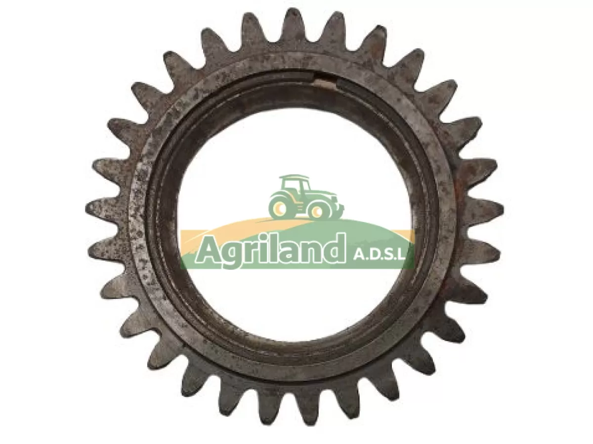 PIGNON INTERMEDIAIRE Z29 
