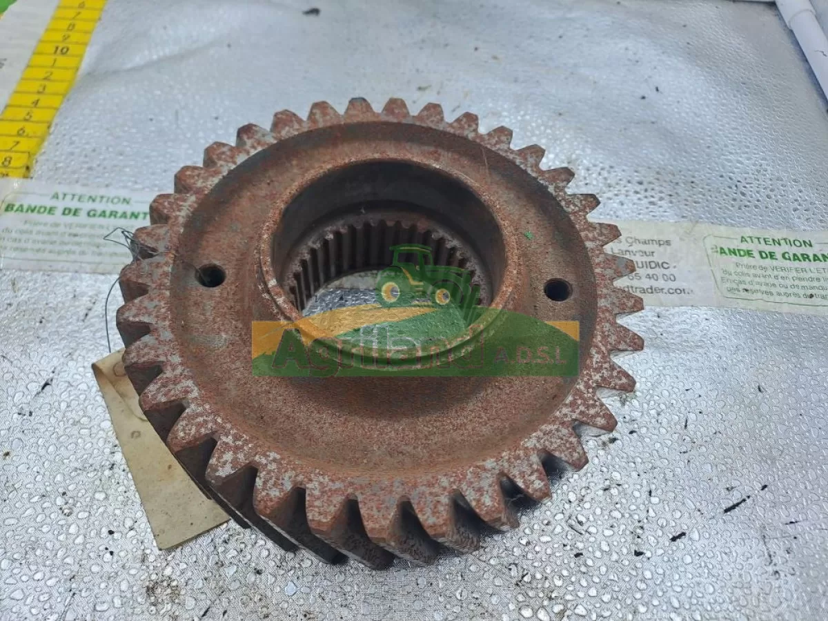 PIGNON Z34 A DENTURE OBLIQUE