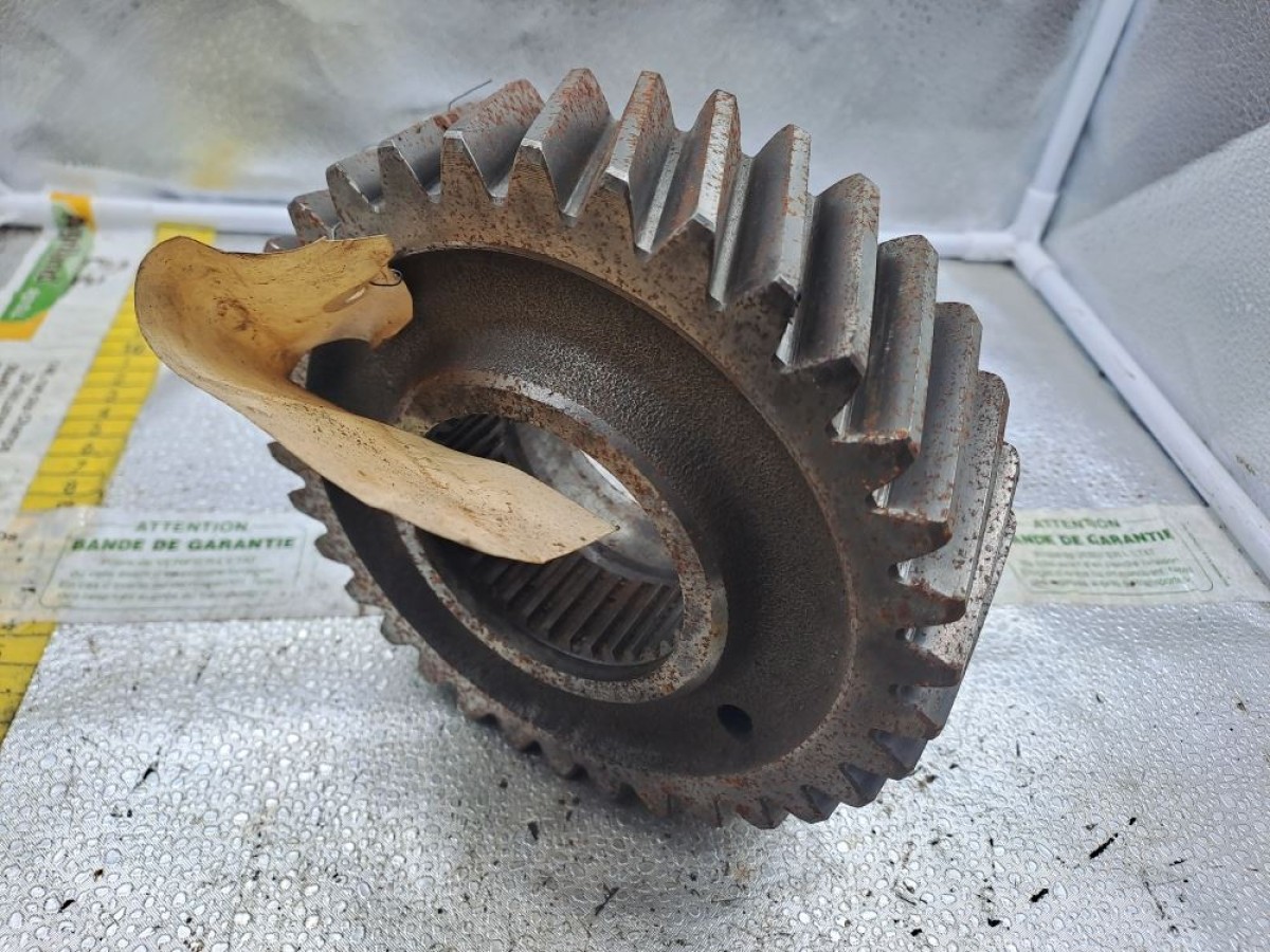 PIGNON Z34 A DENTURE OBLIQUE