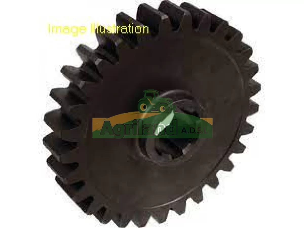 ENGRENAGE A PIGNON Z29