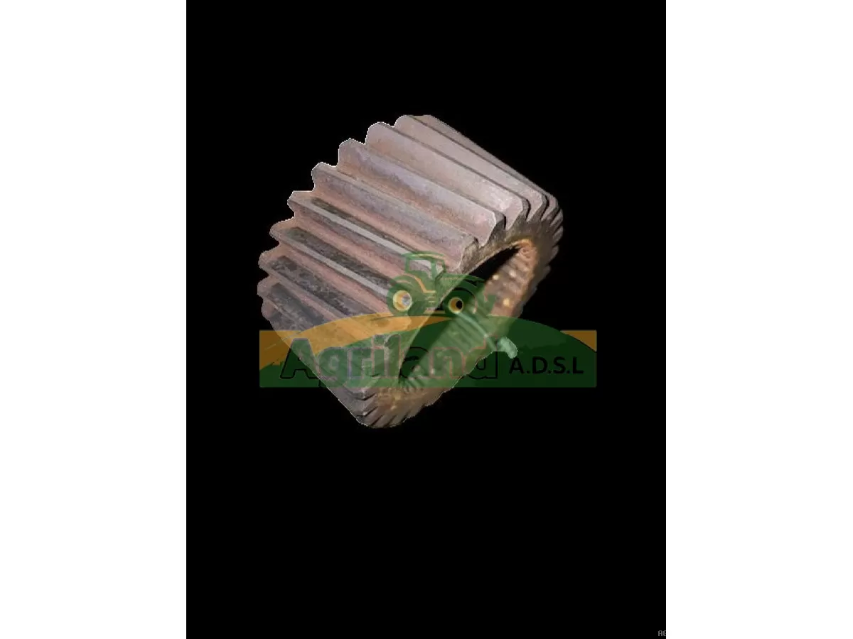 PIGNON Z26 DE L'ARBRE CREUX