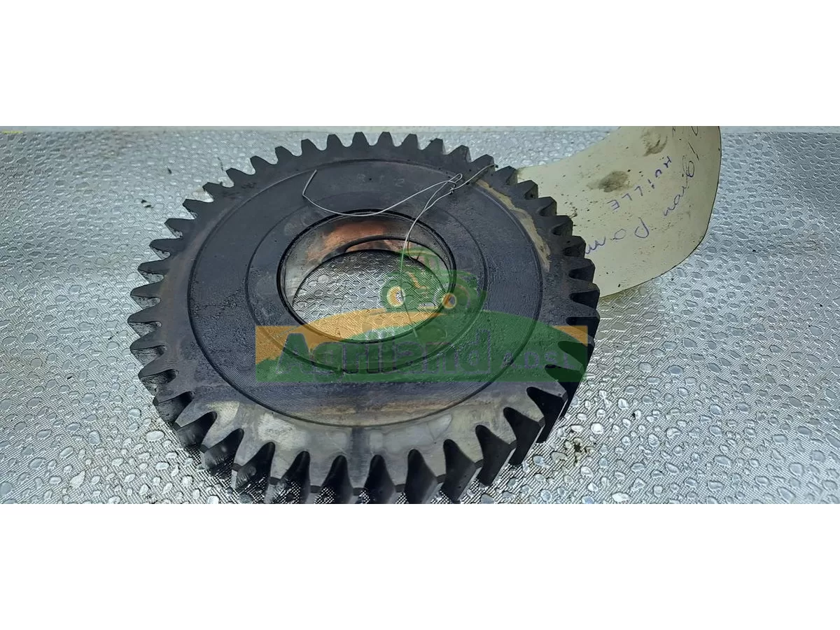 PIGNON DISTRIBUTION MOTEUR Z43